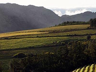Mountain Cottages At Haskell Vineyard Municipalità locale di Municipalità locale di Stellenbosch Esterno foto