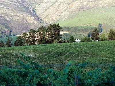 Mountain Cottages At Haskell Vineyard Municipalità locale di Municipalità locale di Stellenbosch Esterno foto
